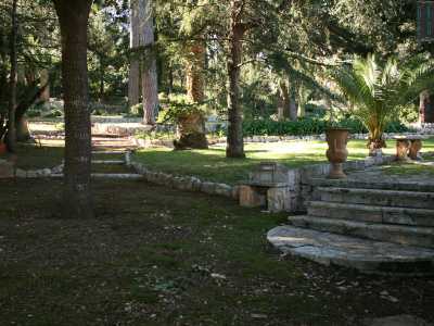 Attraverso il cancello riusciamo a scorgere l�ampio giardino, ricco di pini e palme